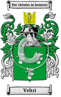 Veltri Family Crest/Coat of Arms