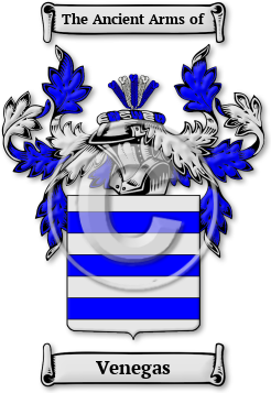Venegas Family Crest Download (jpg) Legacy Series - 150 DPI