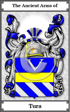 Tura Family Crest Download (JPG)  Book Plated - 150 DPI