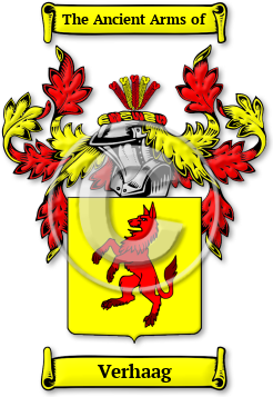 Verhaag Family Crest Download (JPG) Legacy Series - 600 DPI