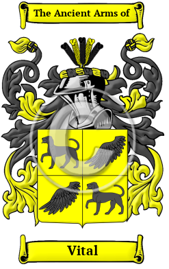 Vital Family Crest Download (JPG) Heritage Series - 600 DPI