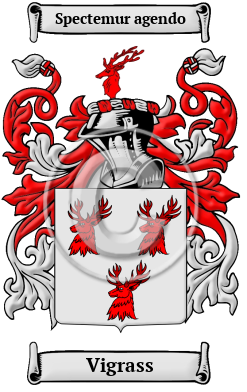 Vigrass Family Crest Download (JPG) Heritage Series - 600 DPI