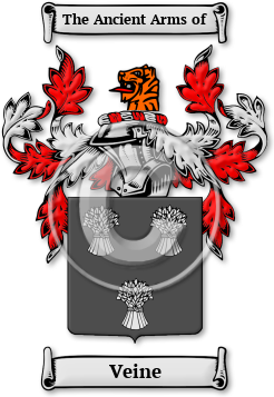 Veine Family Crest Download (jpg) Legacy Series - 150 DPI