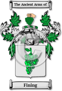 Fining Family Crest Download (jpg) Legacy Series - 150 DPI