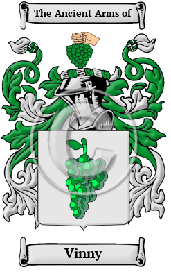 Vinny Name Meaning, Family History, Family Crest & Coats of Arms