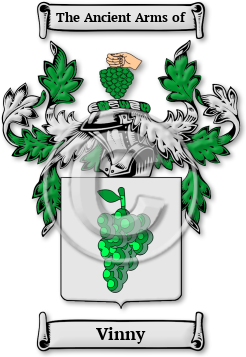 Vinny Family Crest Download (jpg) Legacy Series - 150 DPI