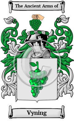 Vyning Family Crest/Coat of Arms