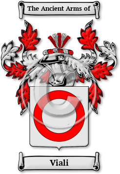 Viali Family Crest Download (jpg) Legacy Series - 150 DPI