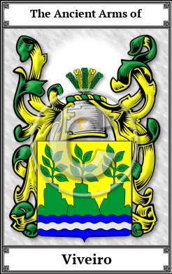 Viveiro Family Crest Download (JPG)  Book Plated - 150 DPI