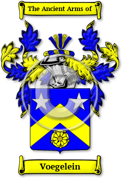 Voegelein Family Crest Download (JPG) Legacy Series - 600 DPI