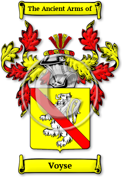Voyse Family Crest Download (jpg) Legacy Series - 150 DPI