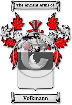 Volkmann Family Crest Download (jpg) Legacy Series - 150 DPI