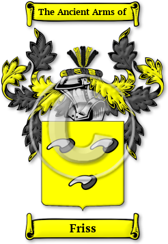 Friss Family Crest Download (jpg) Legacy Series - 150 DPI