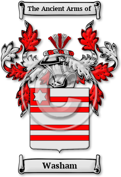 Washam Family Crest Download (JPG) Legacy Series - 600 DPI