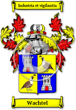Wachtel Family Crest Download (jpg) Legacy Series - 150 DPI