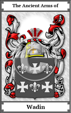 Wadin Family Crest Download (JPG)  Book Plated - 150 DPI
