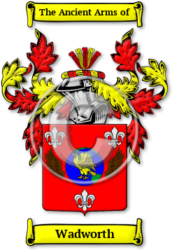 Wadworth Family Crest Download (jpg) Legacy Series - 150 DPI