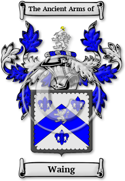Waing Family Crest Download (jpg) Legacy Series - 150 DPI