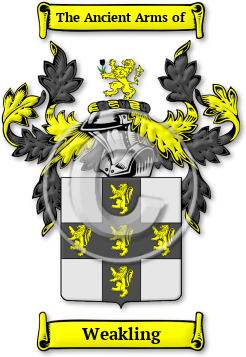 Weakling Family Crest Download (jpg) Legacy Series - 150 DPI