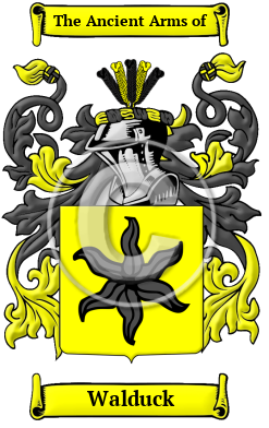 Walduck Family Crest/Coat of Arms