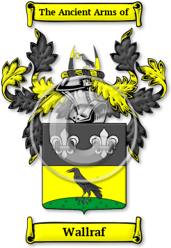Wallraf Family Crest Download (jpg) Legacy Series - 150 DPI