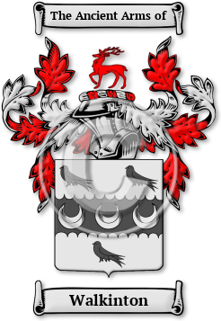 Walkinton Family Crest Download (JPG) Legacy Series - 600 DPI