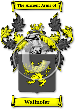 Wallnofer Family Crest Download (jpg) Legacy Series - 150 DPI