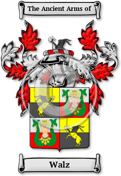 Walz Family Crest Download (jpg) Legacy Series - 150 DPI