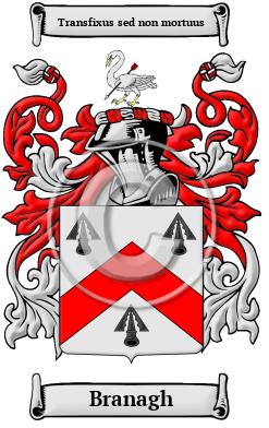 Branagh Family Crest Download (JPG) Heritage Series - 600 DPI