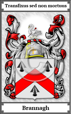 Brannagh Family Crest Download (JPG)  Book Plated - 150 DPI