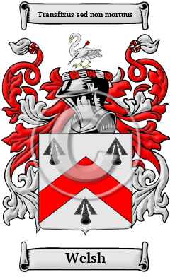 Welsh Meaning, Family History, Crest & Coats of Arms
