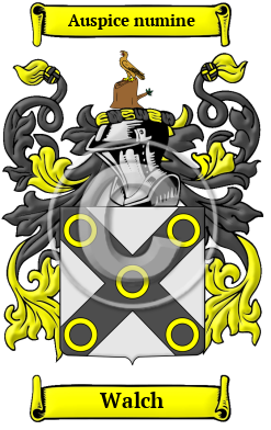 Walch Family Crest Download (JPG) Heritage Series - 600 DPI