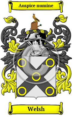 Welsh Family Crest Download (JPG) Heritage Series - 600 DPI