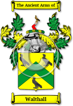 Walthall Family Crest Download (jpg) Legacy Series - 150 DPI