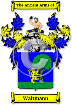 Waltmann Family Crest Download (jpg) Legacy Series - 150 DPI