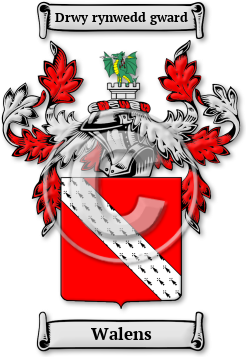 Walens Family Crest Download (JPG) Legacy Series - 600 DPI