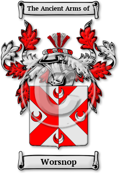 Worsnop Family Crest Download (jpg) Legacy Series - 150 DPI