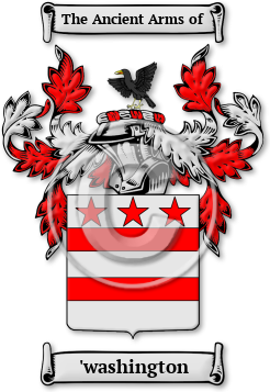'washington Family Crest Download (jpg) Legacy Series - 150 DPI