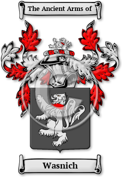 Wasnich Family Crest Download (jpg) Legacy Series - 150 DPI