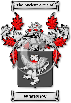 Wasteney Family Crest Download (jpg) Legacy Series - 150 DPI