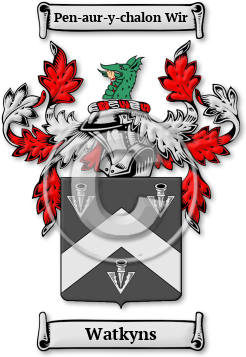 Watkyns Family Crest Download (JPG) Legacy Series - 600 DPI