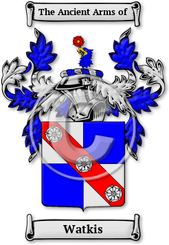Watkis Family Crest Download (jpg) Legacy Series - 150 DPI
