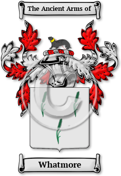 Whatmore Family Crest Download (jpg) Legacy Series - 150 DPI