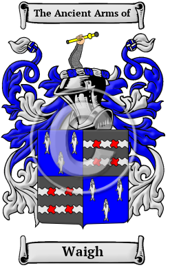 Waigh Family Crest Download (JPG) Heritage Series - 300 DPI