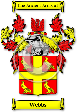 Webbs Family Crest Download (jpg) Legacy Series - 150 DPI