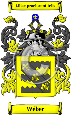 Wéber Family Crest/Coat of Arms