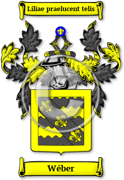 Wéber Family Crest Download (JPG) Legacy Series - 600 DPI