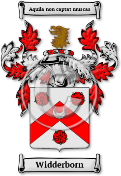 Widderborn Family Crest Download (JPG) Legacy Series - 600 DPI