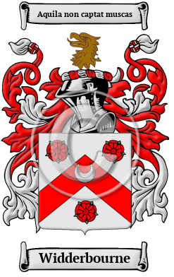 Widderbourne Family Crest/Coat of Arms