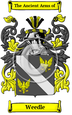Weedle Family Crest Download (JPG) Heritage Series - 600 DPI